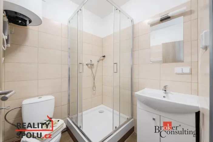 Pronájem bytu 1+kk, Mlékojedy, 47 m2