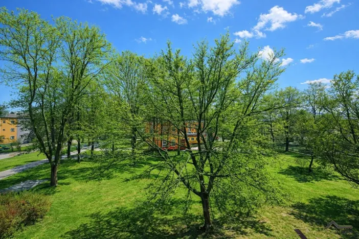 Pronájem bytu 2+1, Ostrava - Hrabůvka, Letecká, 56 m2