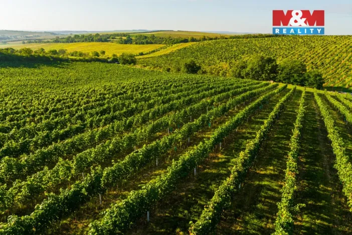 Prodej pole, Šardice, 56699 m2