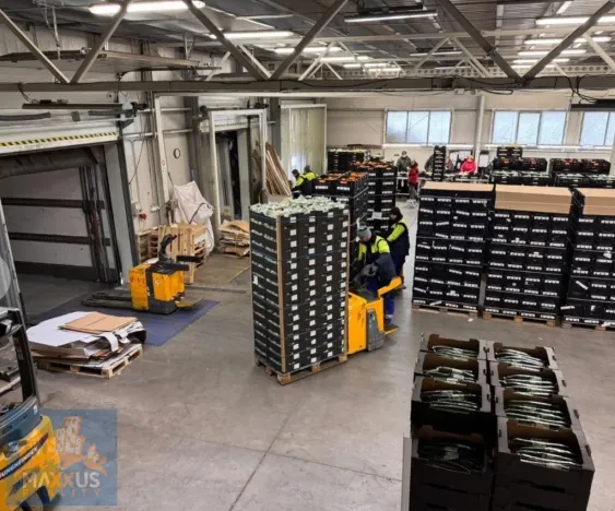 Pronájem skladu, Žižice - Vítov, 1762 m2