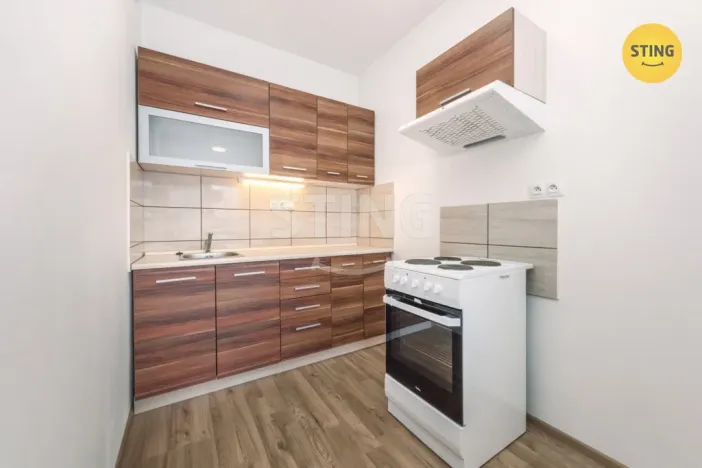 Prodej bytu 1+kk, Pardubice, Pod Vinicí, 40 m2