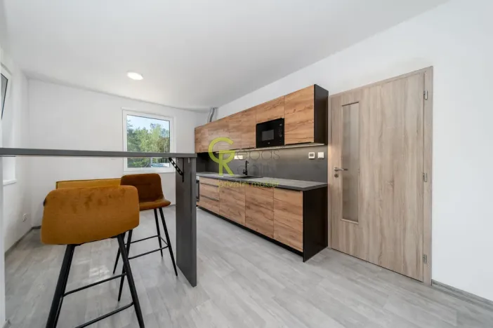 Prodej bytu 2+kk, Skorkov - Otradovice, 48 m2