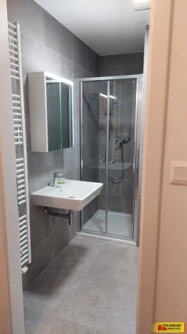 Pronájem bytu 1+kk, Brno - Staré Brno, 27 m2