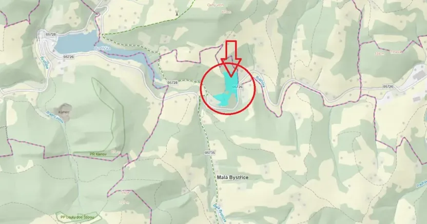 Prodej lesa, Malá Bystřice, 54751 m2