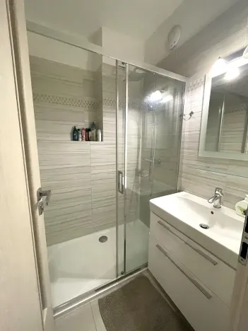 Pronájem bytu 2+1, Plzeň, Francouzská třída, 54 m2