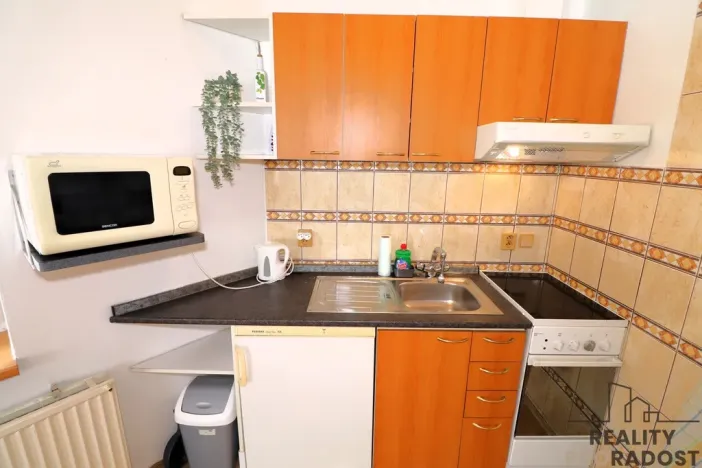 Pronájem bytu 1+kk, Brno, Pražská, 33 m2