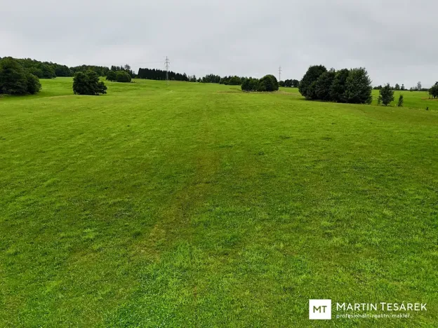 Prodej pozemku pro bydlení, Pulečný, 4466 m2