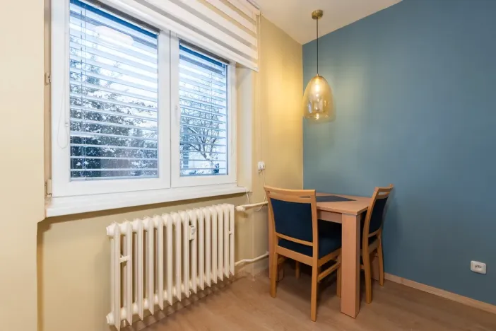 Prodej bytu 1+kk, Ústí nad Labem, SNP, 29 m2