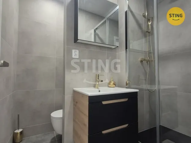 Pronájem bytu 1+1, Ostrava - Výškovice, 40 m2