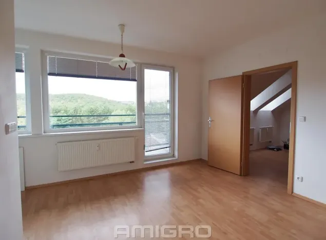 Pronájem bytu 2+kk, Brno, Černého, 48 m2
