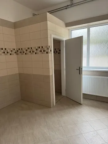 Pronájem skladu, Ostrov, 330 m2