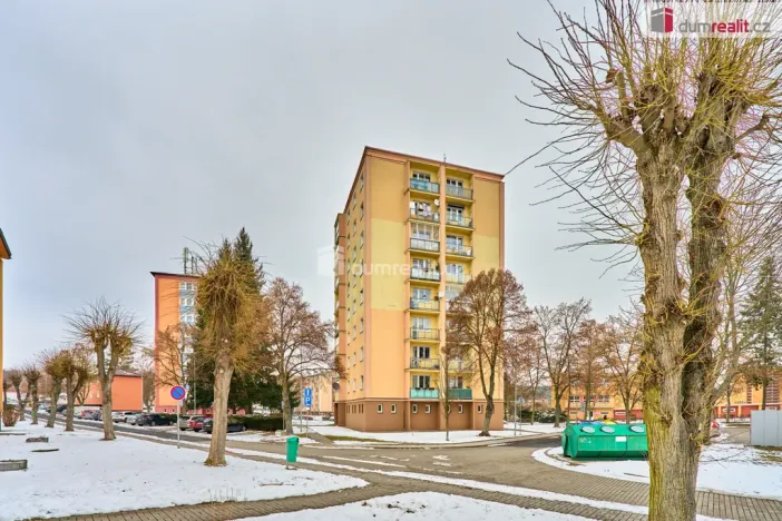 Prodej bytu 2+1, Nová Role, Školní, 45 m2