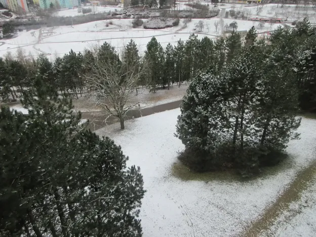 Prodej bytu 3+1, Brno, Konradova, 80 m2