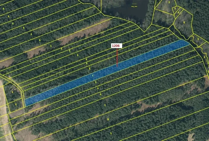 Dražba lesa, Chrbonín, 10189 m2