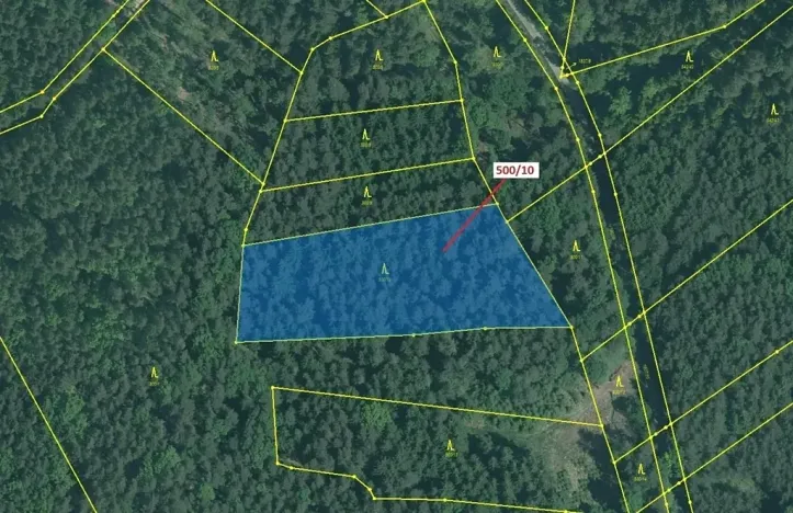 Dražba lesa, Jílovice, 5755 m2