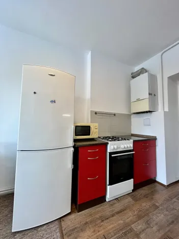 Pronájem bytu 1+1, Ostrava - Moravská Ostrava, Gorkého, 54 m2