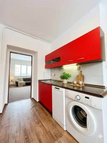 Pronájem bytu 1+1, Ostrava - Moravská Ostrava, Gorkého, 54 m2