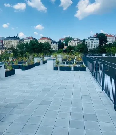 Pronájem bytu 2+kk, Praha - Vinohrady, Perucká, 45 m2