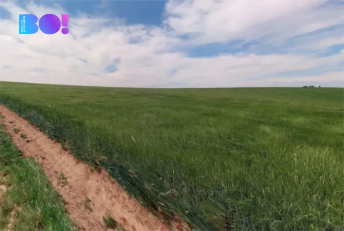 Prodej pole, Kojátky, 27376 m2