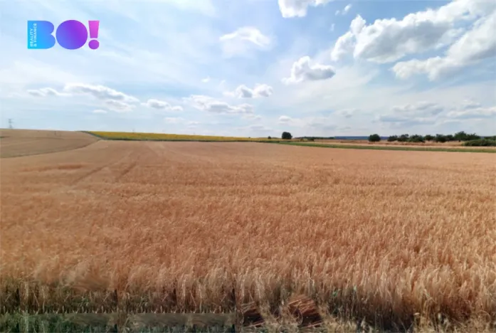 Prodej pole, Jezeřany-Maršovice, 7618 m2