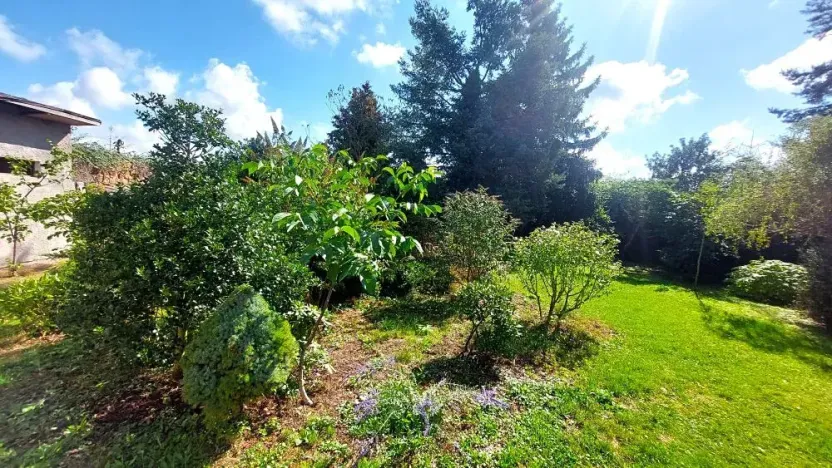 Prodej pozemku, Rybníky, 6544 m2