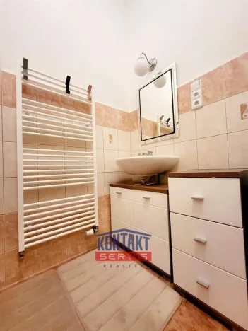 Pronájem bytu 1+1, České Budějovice - České Budějovice 3, 38 m2