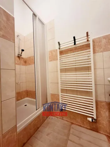 Pronájem bytu 1+1, České Budějovice - České Budějovice 3, 38 m2