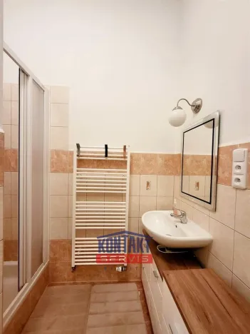 Pronájem bytu 1+1, České Budějovice - České Budějovice 3, 38 m2