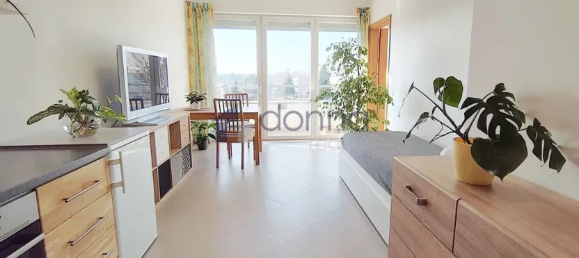 Pronájem bytu 2+kk, Praha, Hlučkova, 46 m2