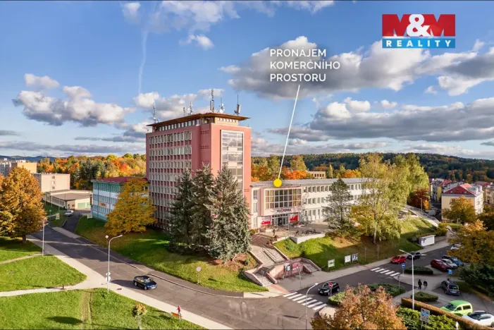 Pronájem obchodního prostoru, Ostrov, Lidická, 120 m2