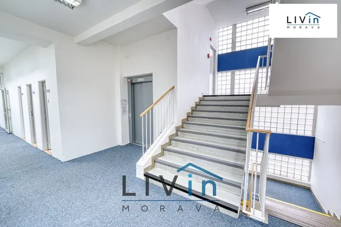 Pronájem kanceláře, Olomouc, Karolíny Světlé, 20 m2