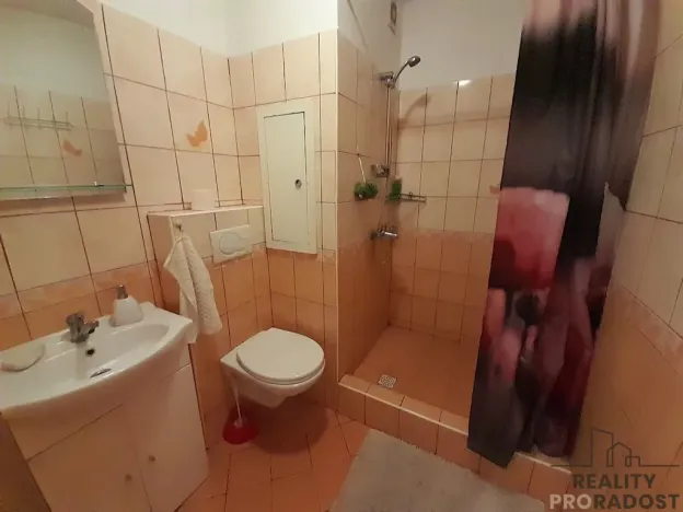 Pronájem bytu 1+1, Znojmo, Palackého, 32 m2