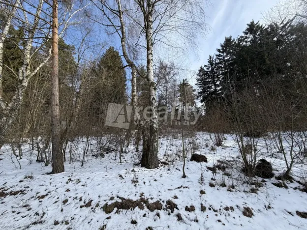 Prodej pozemku, Osová Bítýška, 2007 m2