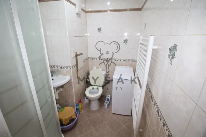 Pronájem bytu 1+kk, České Budějovice - České Budějovice 3, Plzeňská, 21 m2