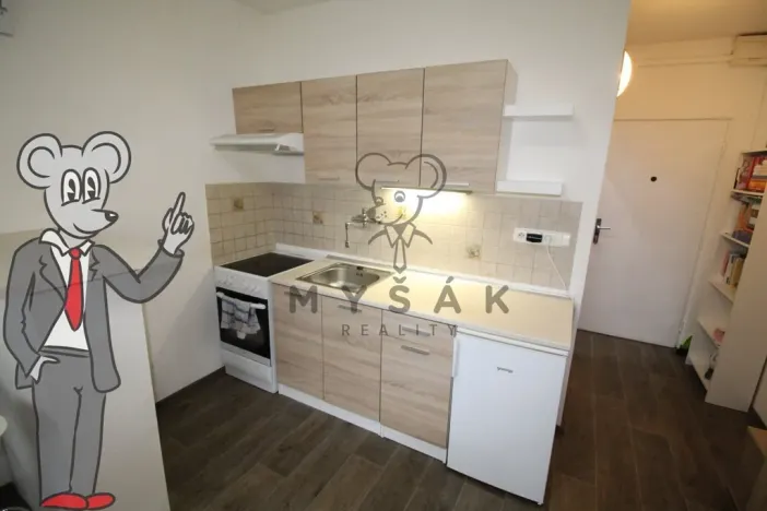 Pronájem bytu 1+kk, České Budějovice - České Budějovice 3, Plzeňská, 21 m2