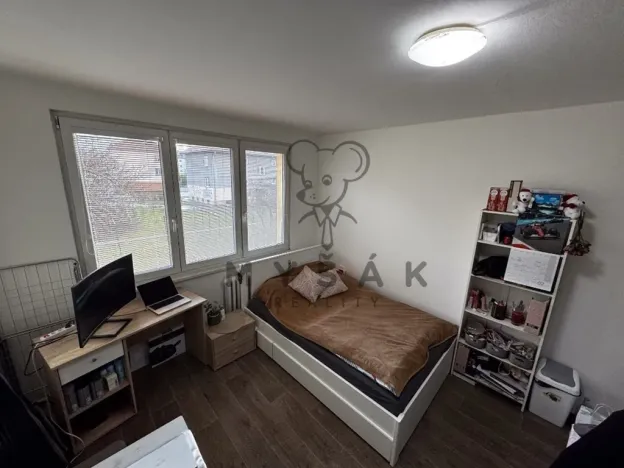 Pronájem bytu 1+kk, České Budějovice - České Budějovice 3, Plzeňská, 21 m2