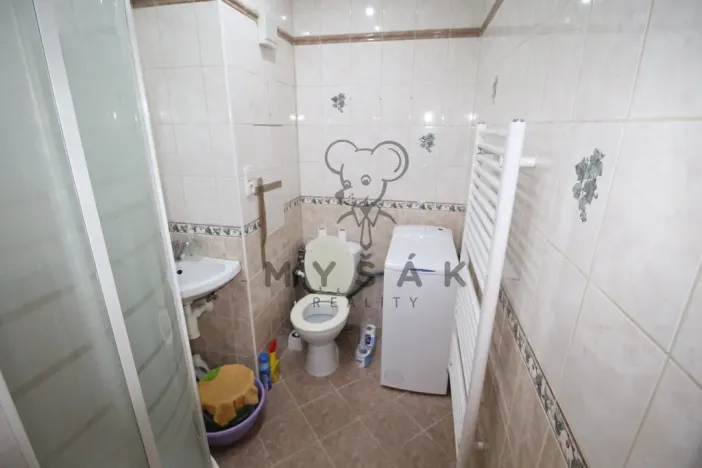 Pronájem bytu 1+kk, České Budějovice - České Budějovice 3, Plzeňská, 21 m2