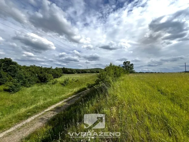 Prodej louky, Bakov nad Jizerou, 957 m2