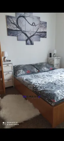 Prodej bytu 2+1, Žatec, Purkyněho, 54 m2