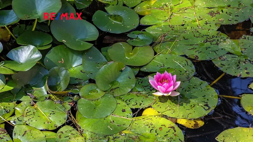 Prodej ubytování, Mařenice, 750 m2