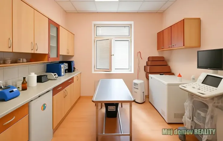 Pronájem obchodního prostoru, Praha - Libeň, náměstí Dr. Václava Holého, 300 m2