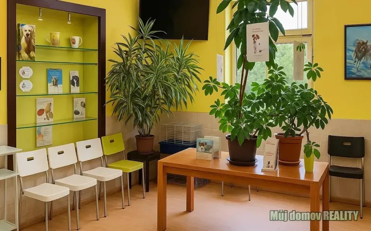 Pronájem obchodního prostoru, Praha - Libeň, náměstí Dr. Václava Holého, 300 m2