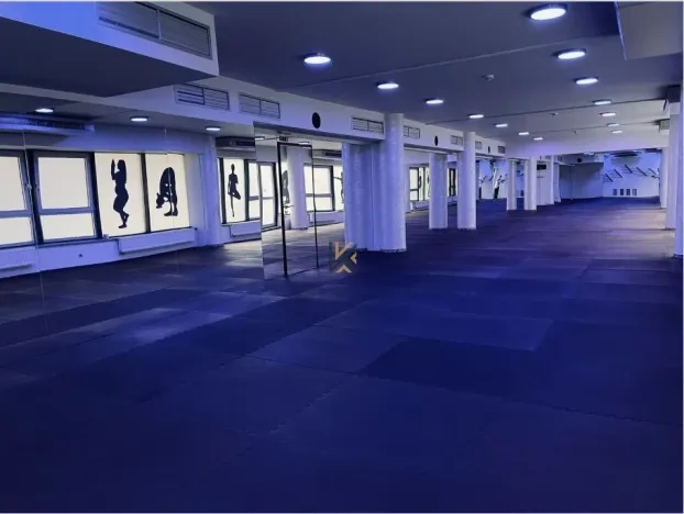 Pronájem obchodního prostoru, Praha - Vinohrady, Chrudimská, 360 m2