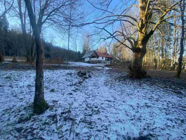 Prodej pozemku, Čachrov - Javorná, 2391 m2