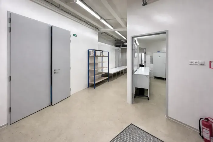 Pronájem výrobních prostor, Praha - Nusle, Mojmírova, 165 m2