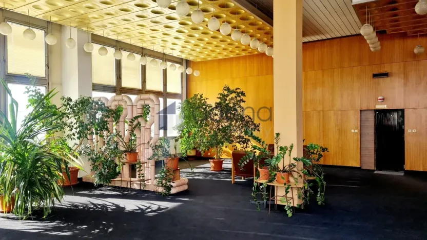 Pronájem obchodního prostoru, Praha, Za Mototechnou, 233 m2