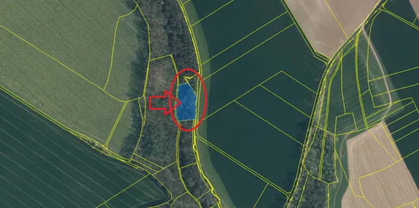 Prodej lesa, Boreč, 3833 m2