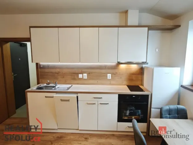 Pronájem bytu 1+kk, Plzeň - Skvrňany, Domažlická, 25 m2