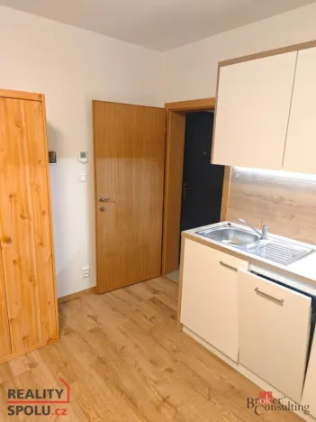 Pronájem bytu 1+kk, Plzeň - Skvrňany, Domažlická, 25 m2