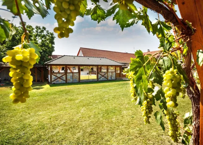 Prodej rodinného domu, Žabovřesky, 950 m2